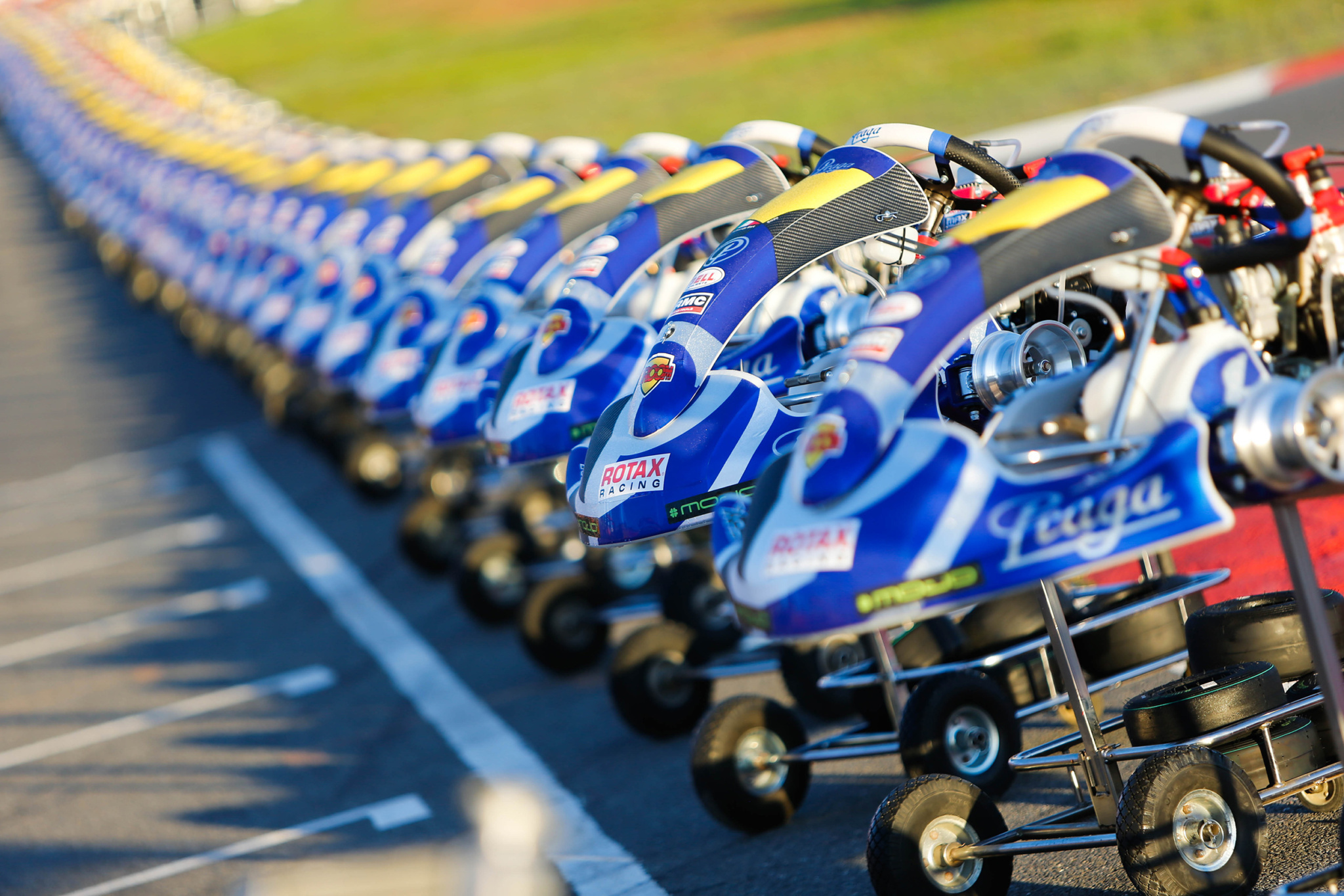 Details Kart Line Up 11